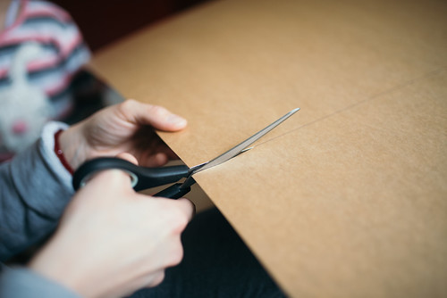 Image for Cardboard Creators (Entering Gr. 3-5)