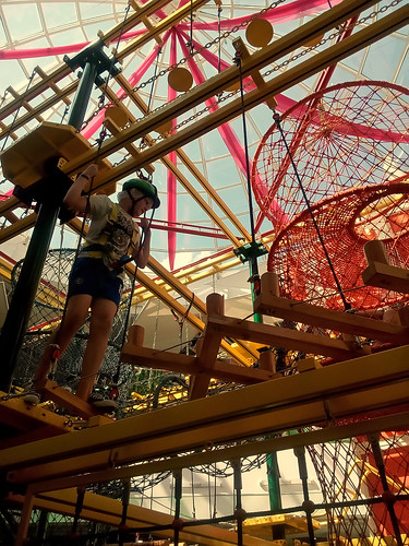 Image for Ninja Warriors (Entering Gr. 3-5)