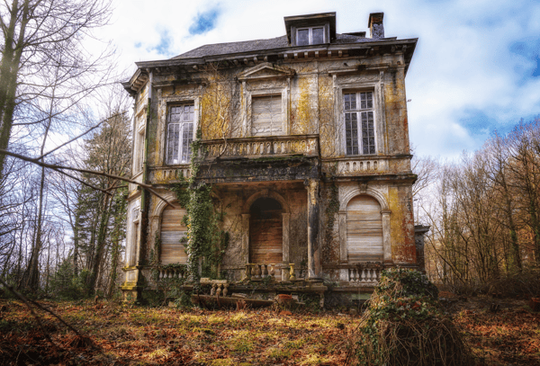 Picture for House Detective: Research Your Home's History (Roosevelt)