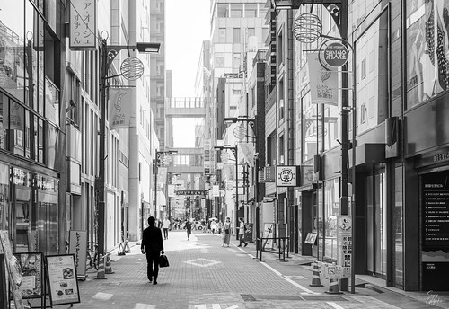 Picture for Japanese: Culture & Travel Tips (Ella Baker)