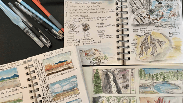 Picture for Nature and Art Journals (Gr. 3-5)