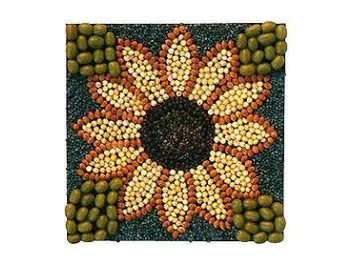 Course Art Meet Up: Seed Art   (Roosevelt 55+) image 1