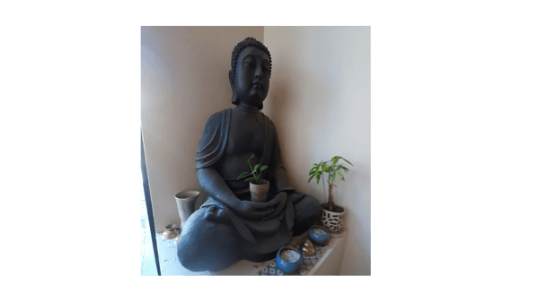 Course Northeast Tea House: Japanese vs. Chinese Green Teas (Marcy) image 3