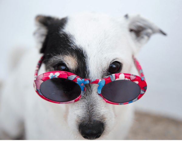 Picture for Improv Workshop: One Night Only! (Camden)