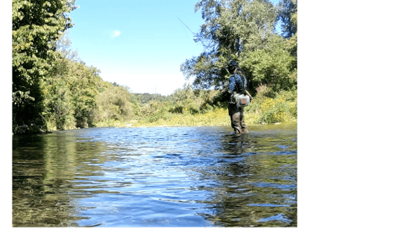 Picture for Fly Fishing: Intro (Southwest)