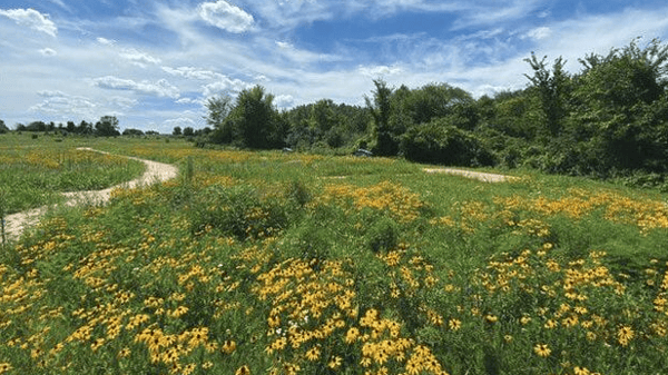 Picture for Understanding Green Burial  (Roosevelt 55+)