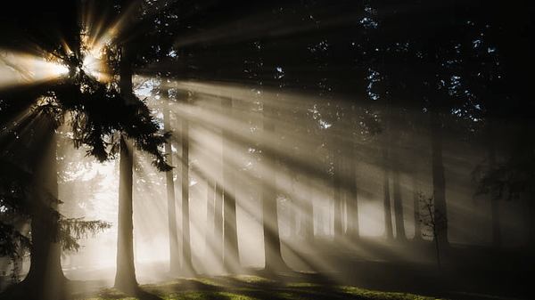 Course Facing Death Without Faith (Ella Baker) image 1