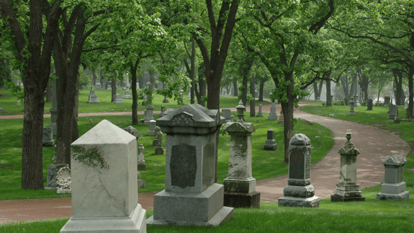 Picture for: Legacy Trees of Lakewood (55+)