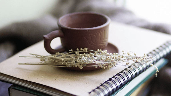 Course Bladder and Bowel Health ( Roosevelt 55+) image 2