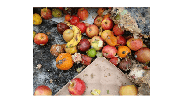Course Composting Tour: From Start to Finish with SET (Roosevelt 55+) image 1