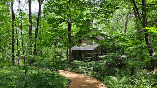 Picture for: Eloise Butler Wildfower Garden Tour (Marcy 55+)