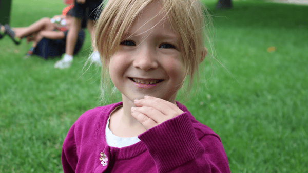 Picture for Imagination: Horses & Ponies (K-2)