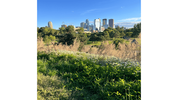 Course Native American: Edible & Medicinal Plant Walk and Foraged Fermented Snacks w/ Linda & Luke Black Elk (Southwest) image 3