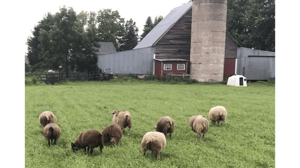 Course Bus Tour: Fiber Arts! Textile Center & Get Bentz Farm / Fiber Processing Mill with Maddy Bartsch & Theresa Bentz (Southwest) image 1