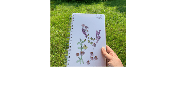 Picture for: Signs of Spring: Nature Journaling at Longfellow Gardens (Roosevelt 55+)