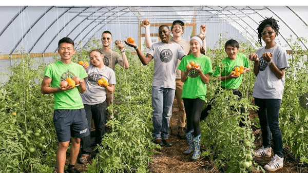 Course Metro Food Justice Network Urban Agriculture Tour- Justice Involved Individuals Voting Effectively (JIIVE) (Southwest) image 5