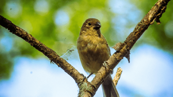 Picture for Photography: Understanding Your Settings for DSLR / Mirrorless Camera (Roosevelt)