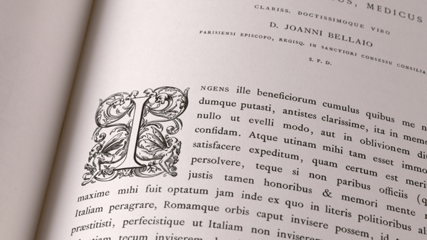 Picture for Latin 1 (Roosevelt)