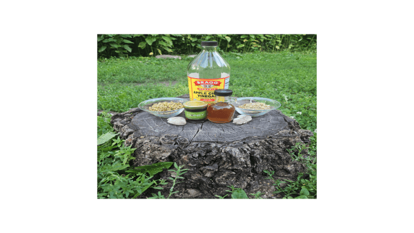 Course Native American - Rarámuri & Yoeme of Mexico: Fire Cider! Crafting Herbal Oxymels (Southwest) image 1