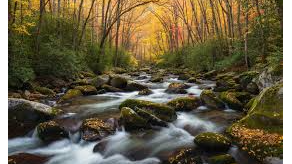 Course Photography(Anthony) image 4