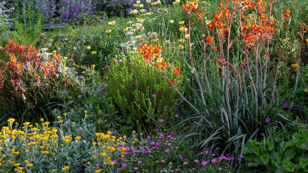 Course Nature In Focus: Designing Low Maintenance Gardens (Roosevelt 55+) image 1