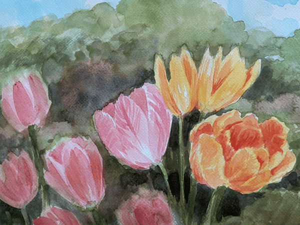 Course Painting: Watercolor Spring Blooms (Edison) ONLINE image 1