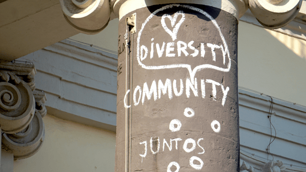 Picture for Community Organizing: Introduction to Methods & Practice (Roosevelt)