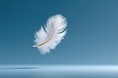 Weiße Feder auf blauem Hintergrund