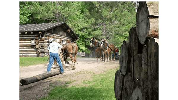 Course Bus Tour: Northern Minnesota Lake Country & Lake Itasca  w/ Historian Dave Bredemus - July 7-10  (Southwest) image 4