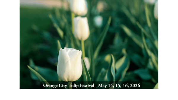 Course Bus Tour: Orange City Tulip Festival w/ Historian Dave Bredemus - May 13-15 (Southwest) image 1