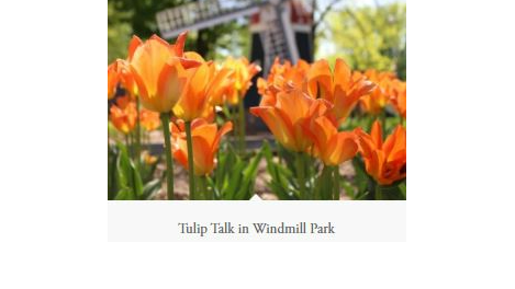 Course Bus Tour: Orange City Tulip Festival w/ Historian Dave Bredemus - May 13-15 (Southwest) image 2