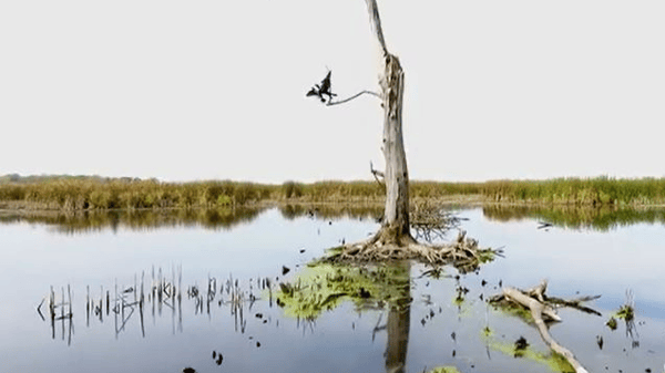 Picture for Bus Tour: Lake Geneva & Southeast Wisconsin w/ Historian Dave Bredemus - June 2-4 (Southwest)