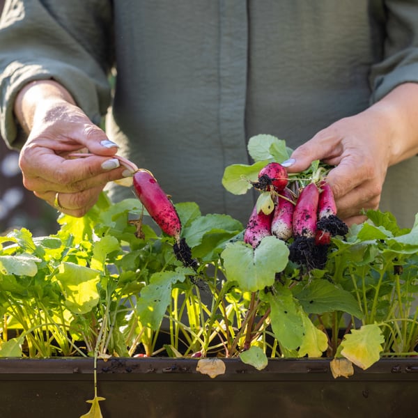 Picture for Home & Garden