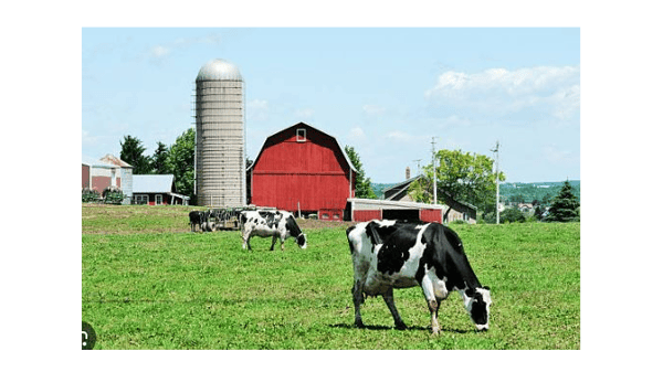 Course Bus Tour: Hometown Favorites - Discovering Western Wisconsin w/ Historian Dave Bredemus - June 24 (Southwest) image 2