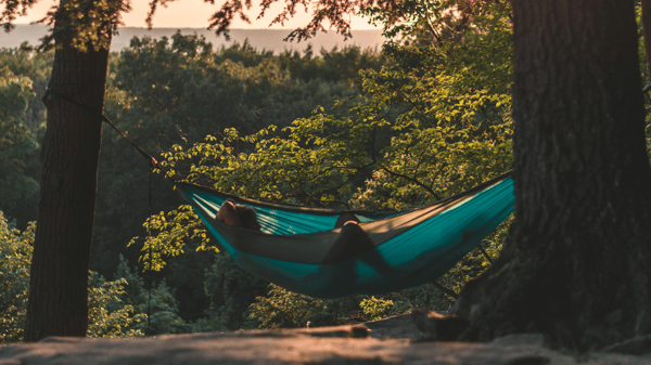 Picture for Hammocks & Nature (Entering Gr. 6-9)