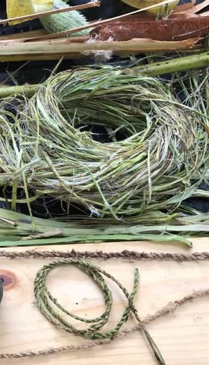 Picture for Trips, Tours & Special Events