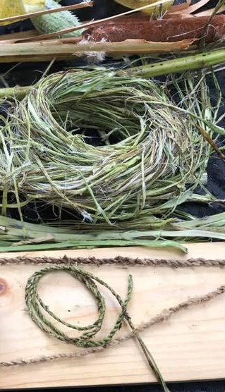 Picture for: Nature In Focus: Natural Fibers for Nests & Cordage (Roosevelt 55+)