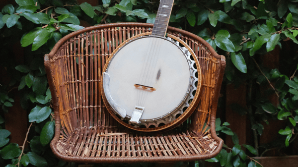 Picture for Beginner Old Time Clawhammer Banjo (Roosevelt)