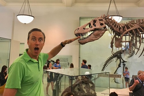 Picture for Dinosaur Discovery (Gr. 1-2)