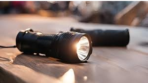 Picture for: Week 5: Stranger than Fiction (Grades 4-5)