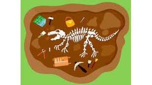 Picture for: Week 1: Diggin' Up Dinos (Kinder)