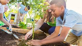 Picture for Green Thumb Growers (Gr. 3-5)