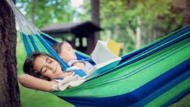 Course Books & Hammocks (Gr. 6-9) image 1