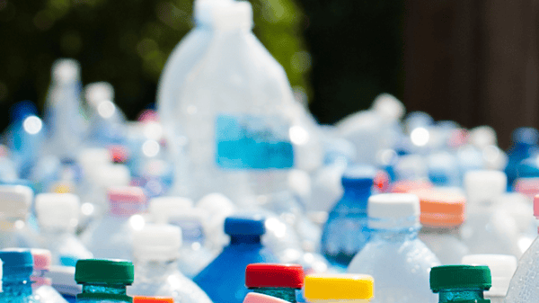 Picture for Recycled Art Lab (Gr:1-2)