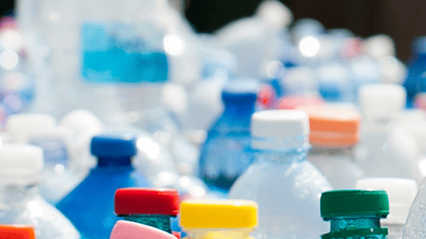 Image for Recycled Art Lab (Gr: 3-5)