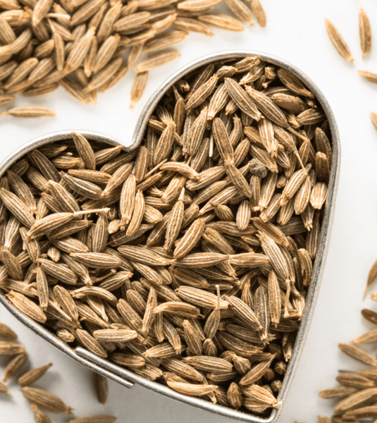 Picture for State Fair Blue Ribbon Arts & Crafts (Gr: 3-5)