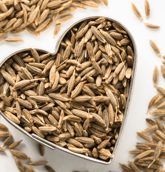 Picture for State Fair Blue Ribbon Arts & Crafts (Gr: 6-9)