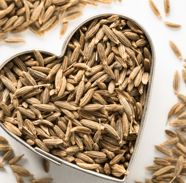 Picture for State Fair Blue Ribbon Arts & Crafts (Gr: 6-9)