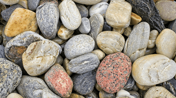 Picture for Junior Archaeologists (Gr: 1-2)