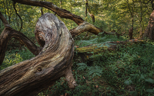 Picture for Get Outside! (Gr: 1-2)